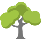 Boulder Tree Trimming Service